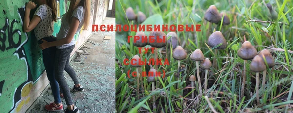 шишки Нефтекумск