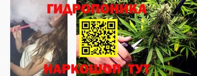 сатива Балахна