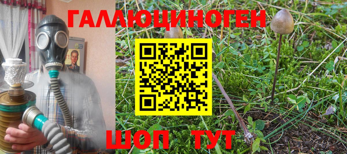 Галлюциногенные грибы прущие грибы  Вход с VPN  Новоалтайск 