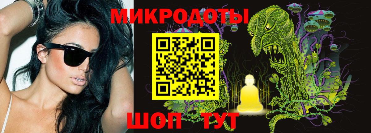 даркнет сайт  Новоалтайск  Галлюциногенные грибы GOLDEN TEACHER 